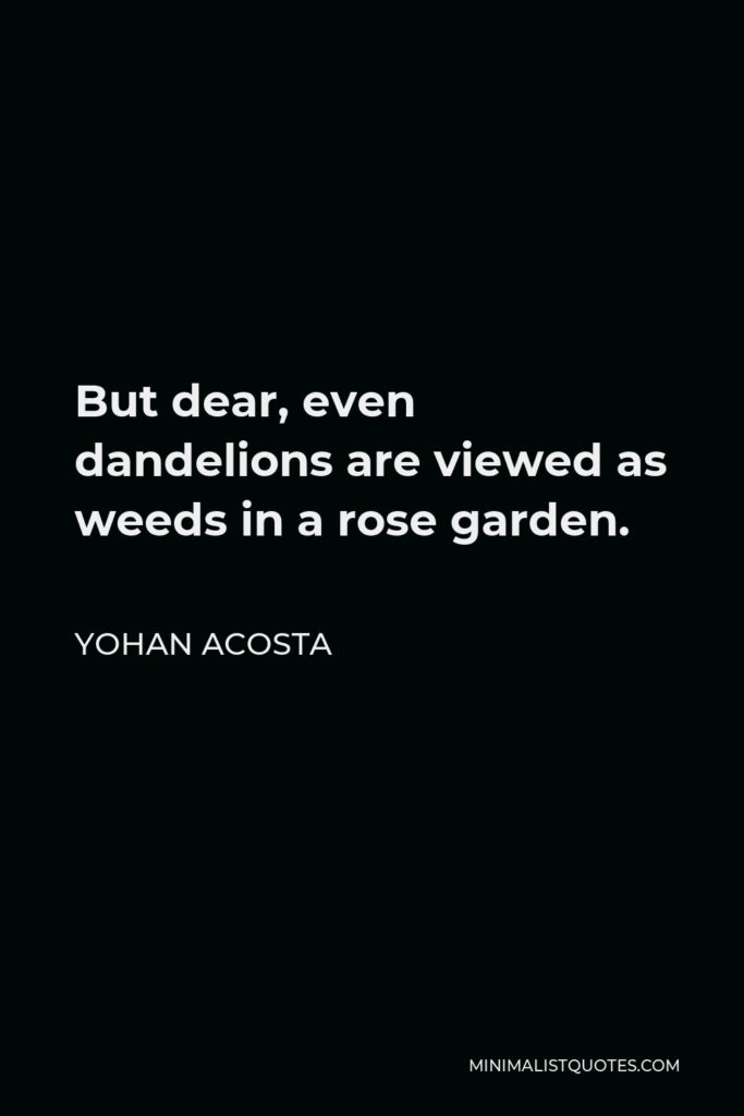 Yohan Acosta Quote - But dear, even dandelions are viewed as weeds in a rose garden.