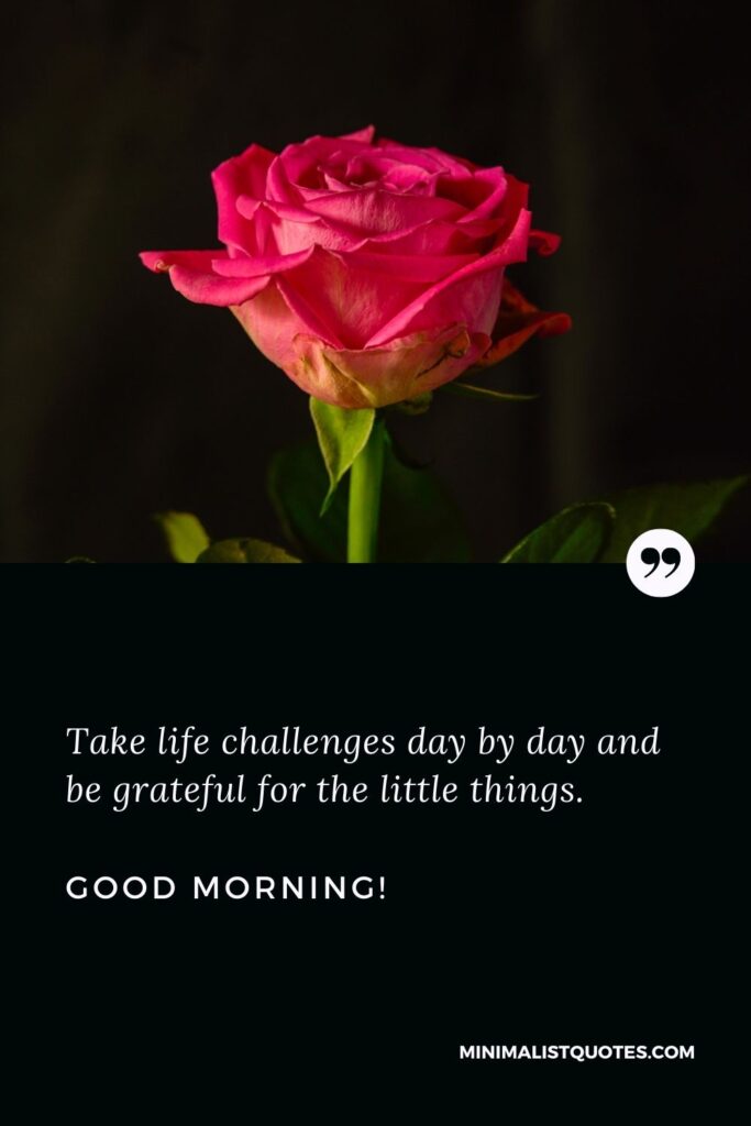 Good morning messages for WhatsApp: Take life challenges day by day and be grateful for the little things. Good Morning!