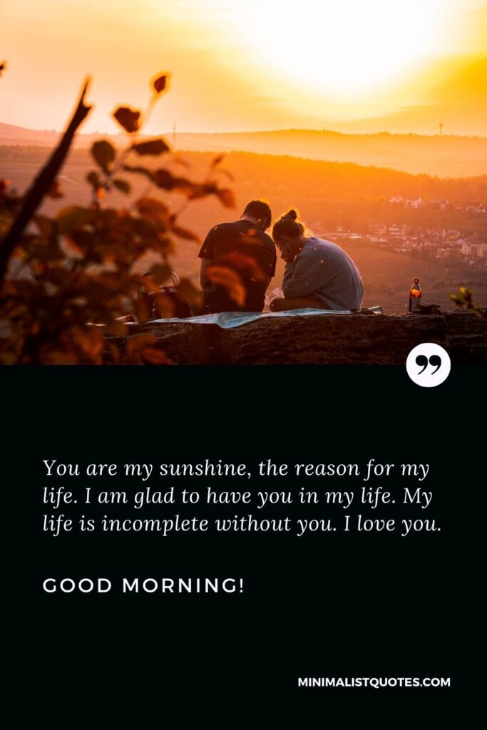 Good morning wishes for lover: You are my sunshine, the reason for my life. I am glad to have you in my life. My life is incomplete without you. I love you. Good Morning!