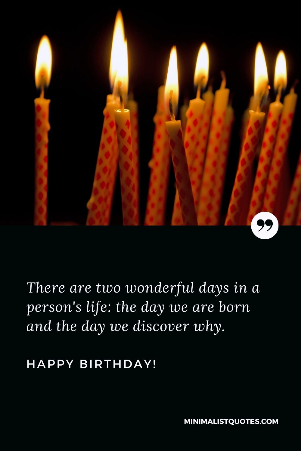 There are two wonderful days in a person's life: the day we are born and  the day we discover why. Happy Birthday!