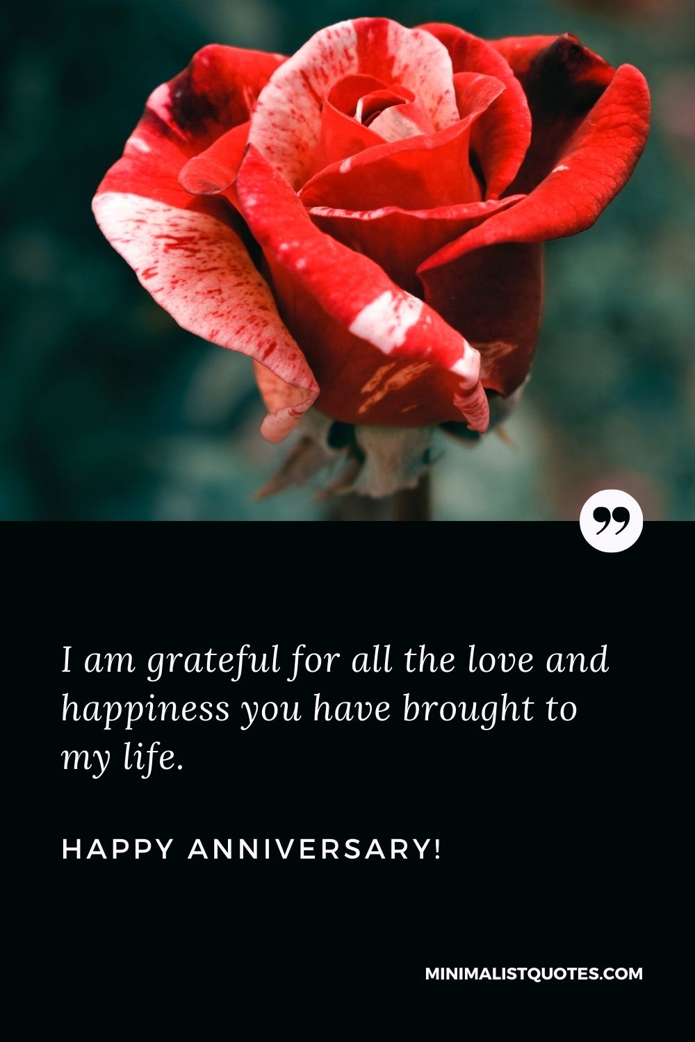 Happy wedding anniversary wishes: I am grateful for all the love and happiness you have brought to my life. Happy Anniversary!