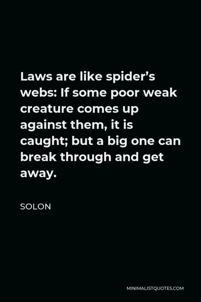 Solon Quote - Laws are like spider’s webs: If some poor weak creature comes up against them, it is caught; but a big one can break through and get away.