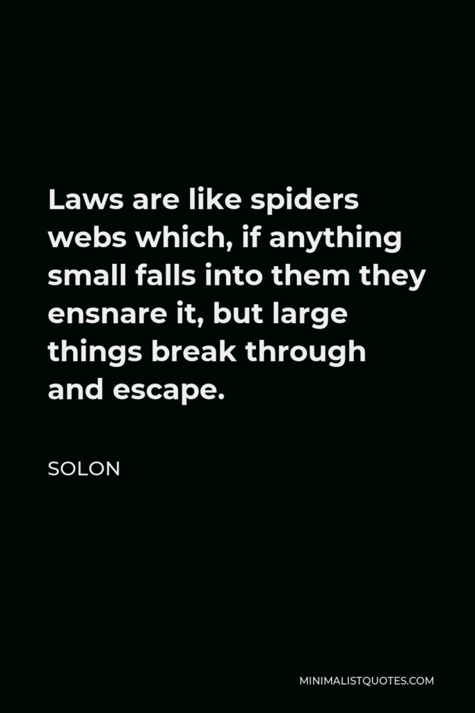 Solon Quote - Laws are like spiders webs which, if anything small falls into them they ensnare it, but large things break through and escape.