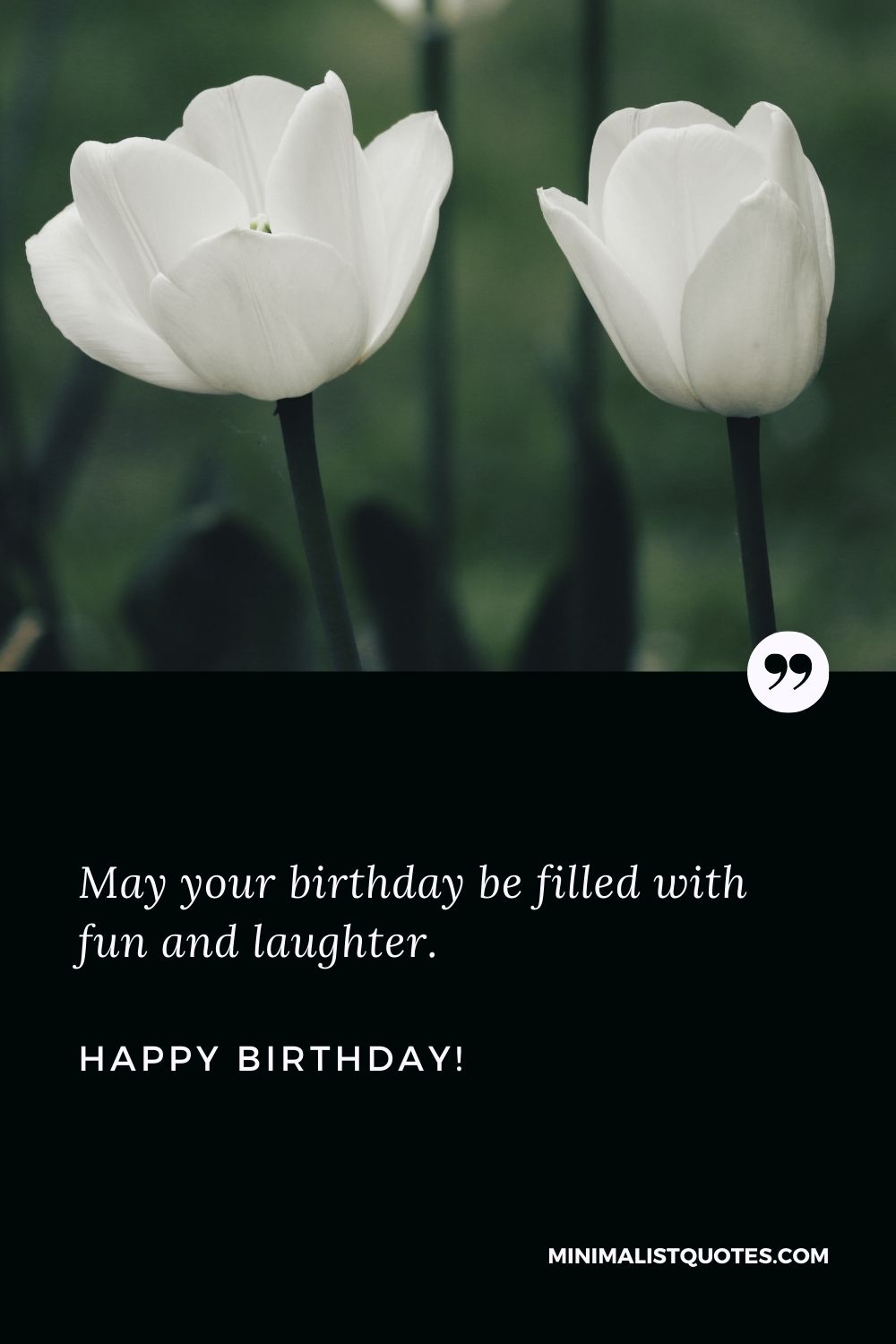 105 Short & Simple Birthday Wishes for the Minimalist in You
