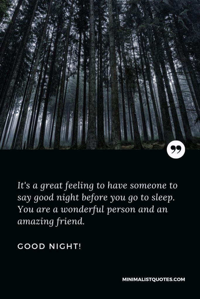 Sweet good night message for a friend: It's a great feeling to have someone to say good night before you go to sleep. You are a wonderful person and an amazing friend. Good Night!