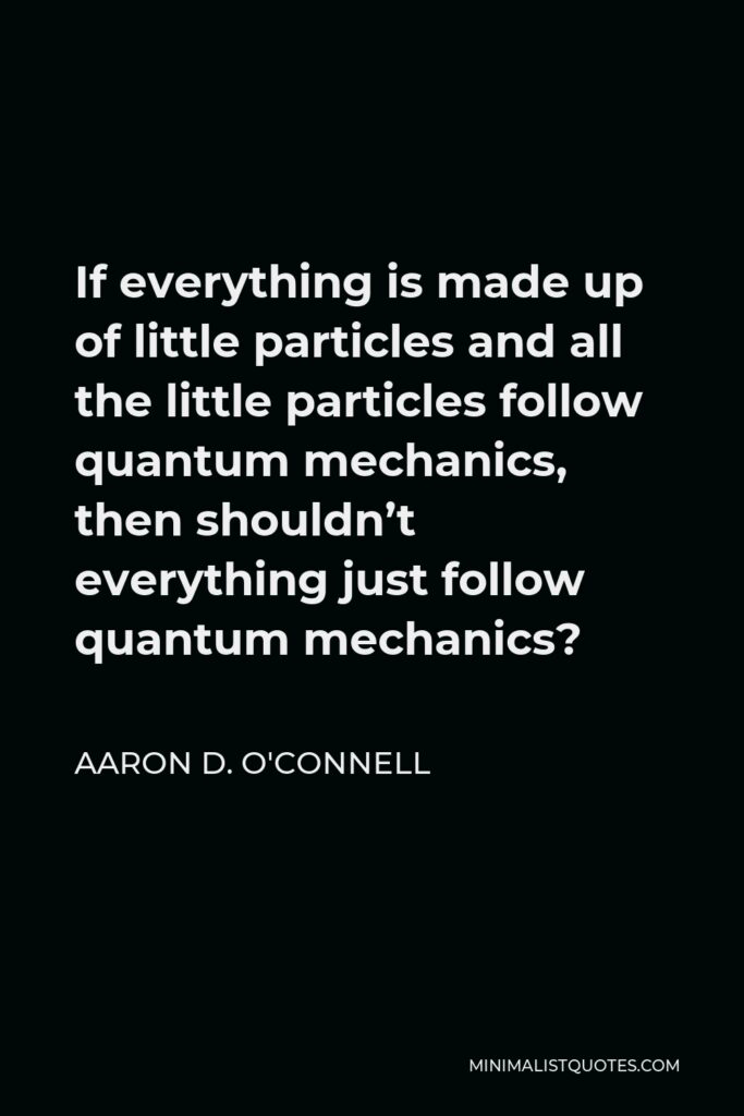 Aaron D. O'Connell Quote - If everything is made up of little particles and all the little particles follow quantum mechanics, then shouldn’t everything just follow quantum mechanics?