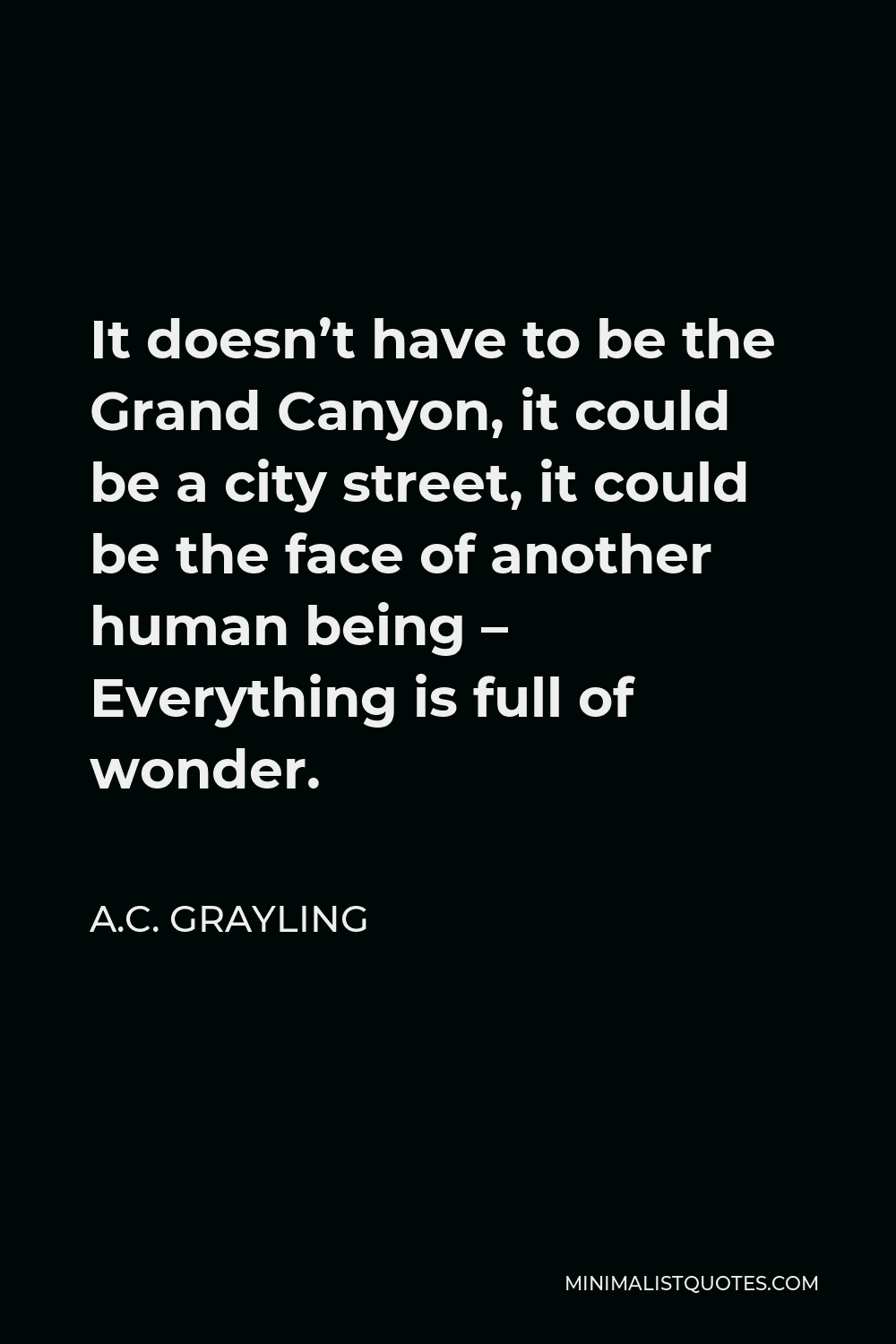 A.C. Grayling Quote - It doesn’t have to be the Grand Canyon, it could be a city street, it could be the face of another human being – Everything is full of wonder.