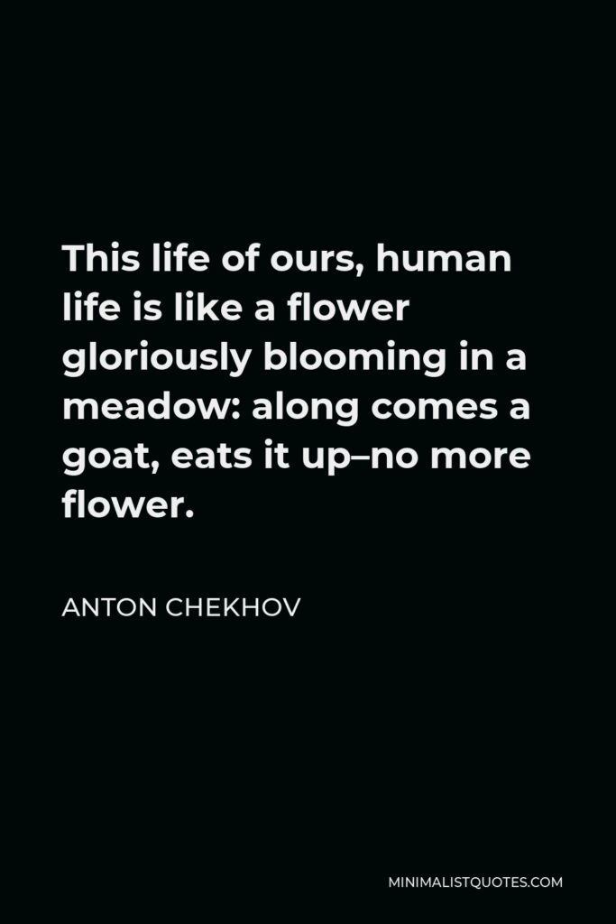 Anton Chekhov Quote - This life of ours, human life is like a flower gloriously blooming in a meadow: along comes a goat, eats it up–no more flower.