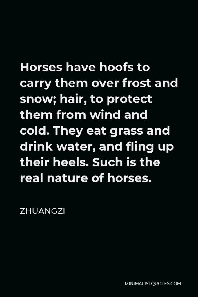 Zhuangzi Quote - Horses have hoofs to carry them over frost and snow; hair, to protect them from wind and cold. They eat grass and drink water, and fling up their heels. Such is the real nature of horses.