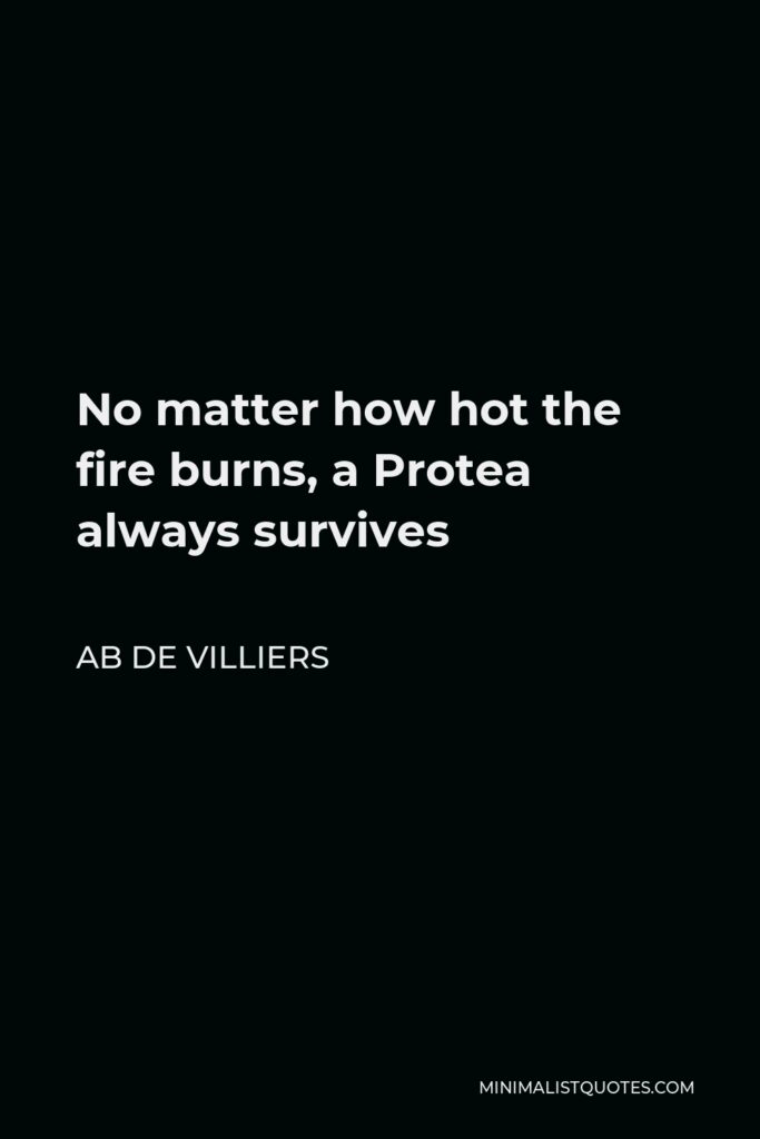 AB de Villiers Quote - No matter how hot the fire burns, a Protea always survives