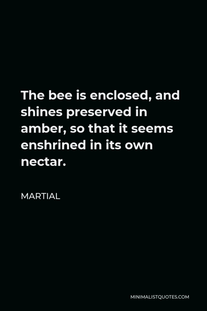 Martial Quote - The bee is enclosed, and shines preserved in amber, so that it seems enshrined in its own nectar.