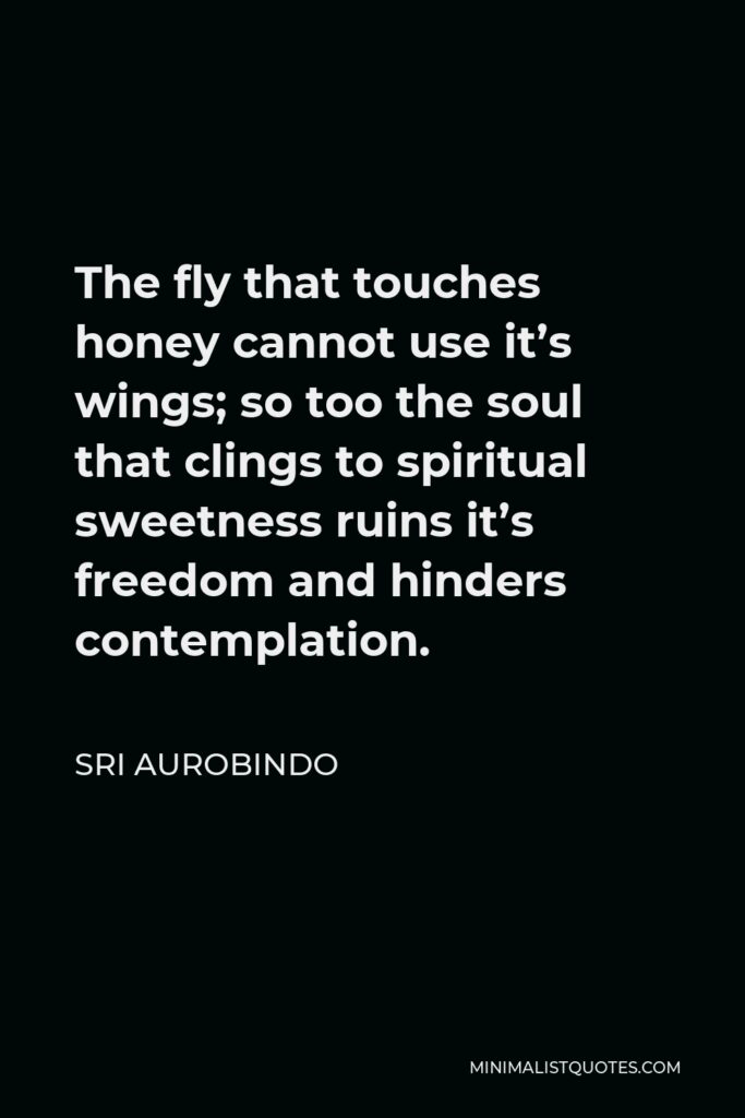 Sri Aurobindo Quote - The fly that touches honey cannot use it’s wings; so too the soul that clings to spiritual sweetness ruins it’s freedom and hinders contemplation.