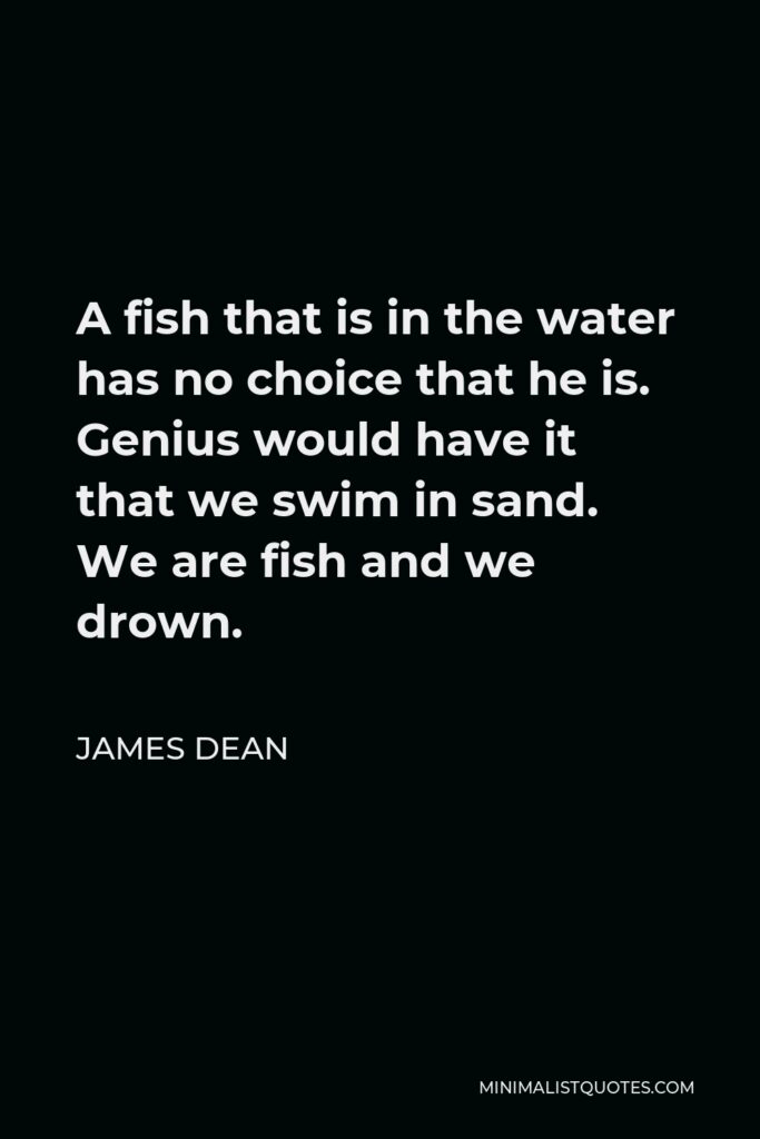 James Dean Quote - A fish that is in the water has no choice that he is. Genius would have it that we swim in sand. We are fish and we drown.