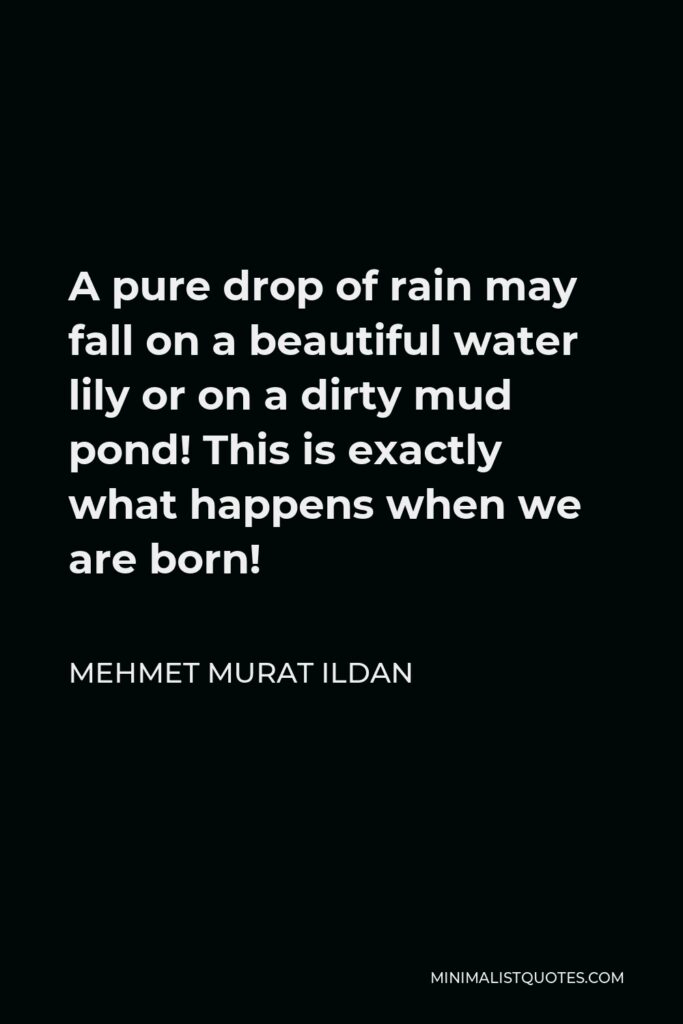 Mehmet Murat Ildan Quote - A pure drop of rain may fall on a beautiful water lily or on a dirty mud pond! This is exactly what happens when we are born!