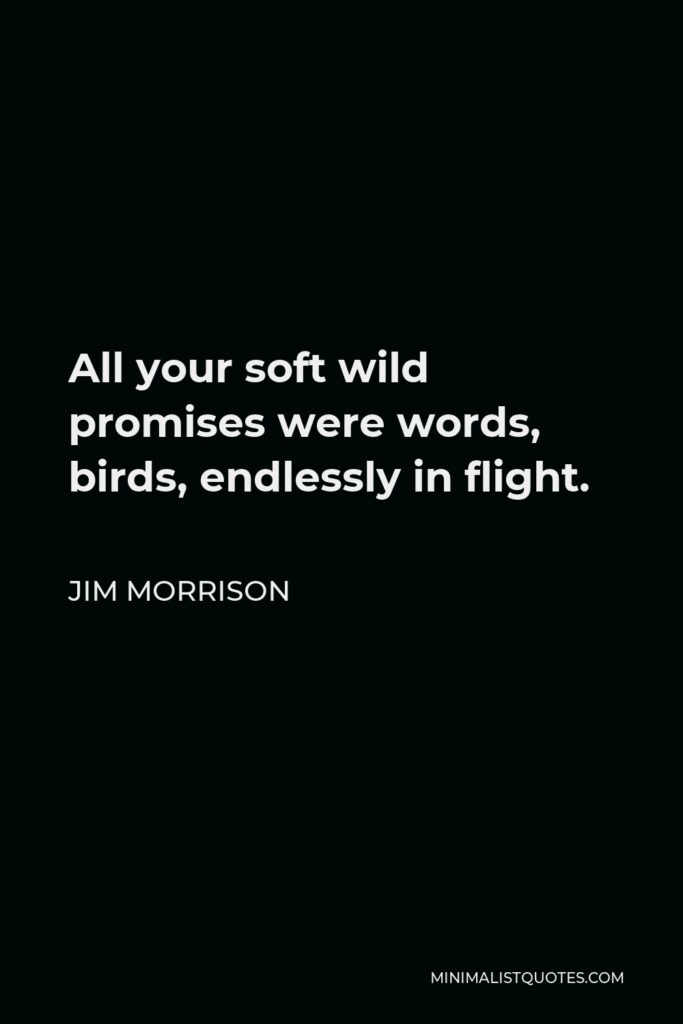 Jim Morrison Quote - All your soft wild promises were words, birds, endlessly in flight.