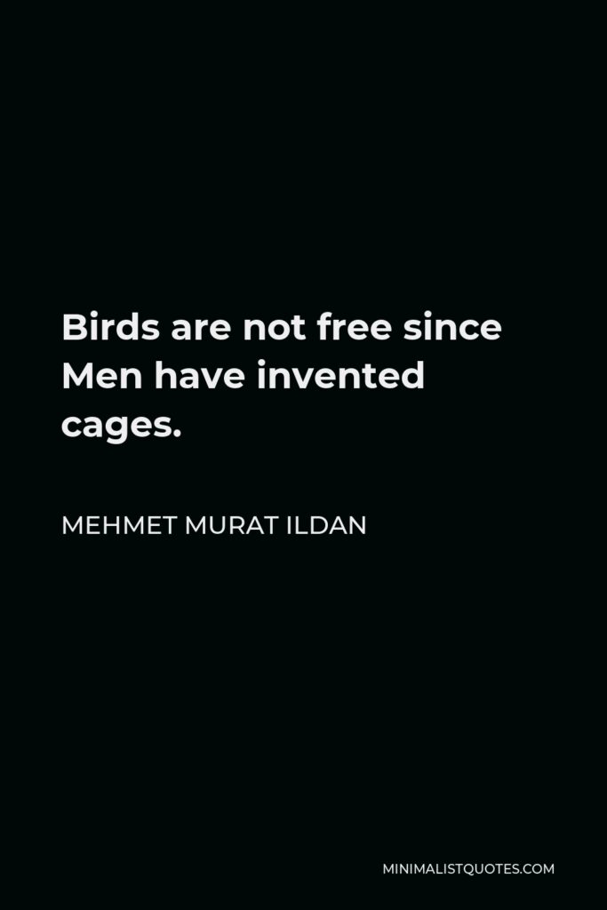 Mehmet Murat Ildan Quote - Birds are not free since Men have invented cages.