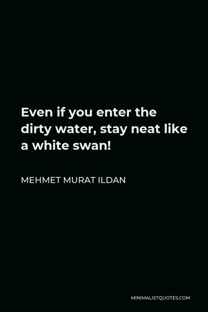Mehmet Murat Ildan Quote - Even if you enter the dirty water, stay neat like a white swan!