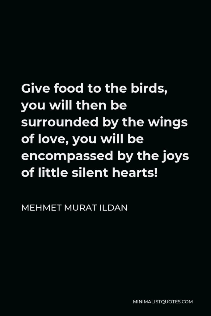 Mehmet Murat Ildan Quote - Give food to the birds, you will then be surrounded by the wings of love, you will be encompassed by the joys of little silent hearts!