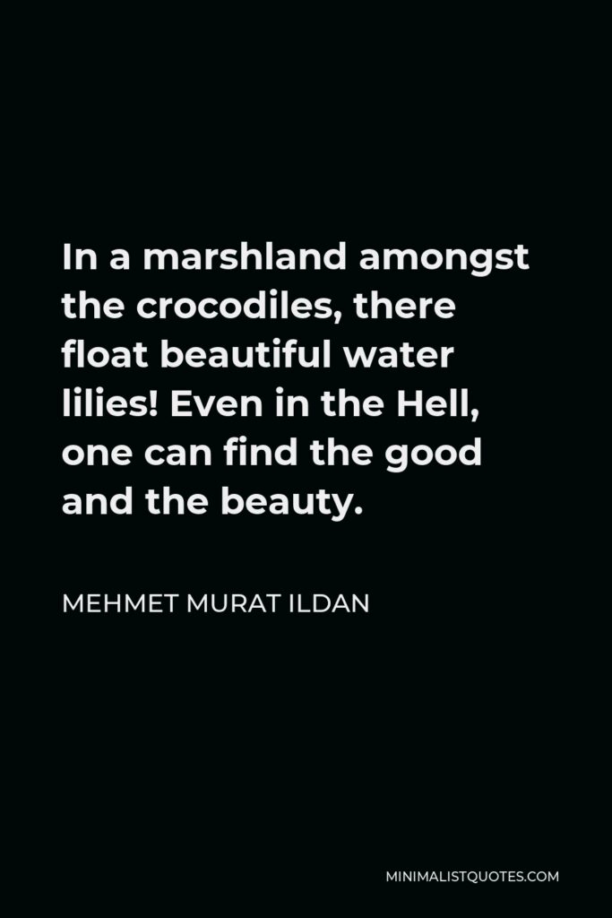Mehmet Murat Ildan Quote - In a marshland amongst the crocodiles, there float beautiful water lilies! Even in the Hell, one can find the good and the beauty.