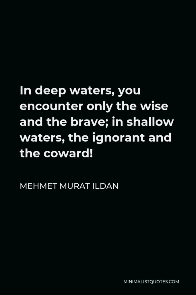 Mehmet Murat Ildan Quote - In deep waters, you encounter only the wise and the brave; in shallow waters, the ignorant and the coward!