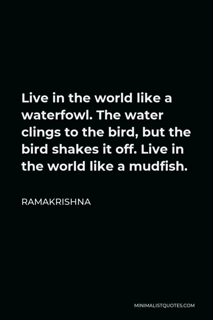 Ramakrishna Quote - Live in the world like a waterfowl. The water clings to the bird, but the bird shakes it off. Live in the world like a mudfish.