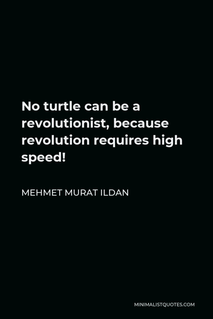 Mehmet Murat Ildan Quote - No turtle can be a revolutionist, because revolution requires high speed!