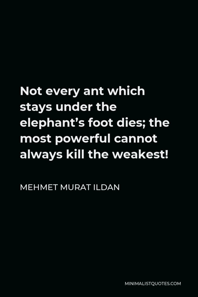 Mehmet Murat Ildan Quote - Not every ant which stays under the elephant’s foot dies; the most powerful cannot always kill the weakest!