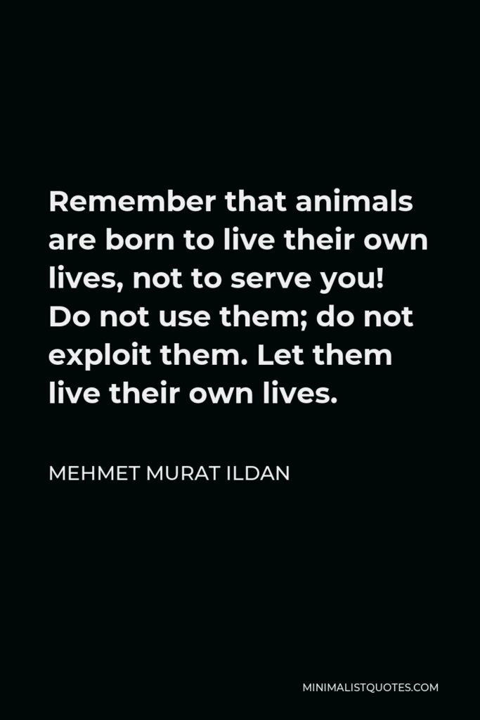 Mehmet Murat Ildan Quote - Remember that animals are born to live their own lives, not to serve you! Do not use them; do not exploit them. Let them live their own lives.
