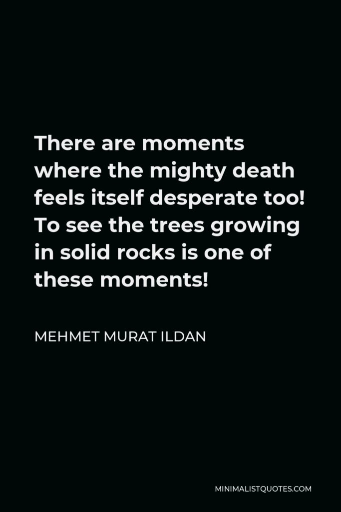 Mehmet Murat Ildan Quote - There are moments where the mighty death feels itself desperate too! To see the trees growing in solid rocks is one of these moments!