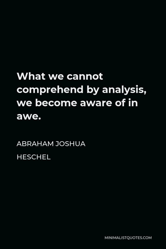 Abraham Joshua Heschel Quote - What we cannot comprehend by analysis, we become aware of in awe.