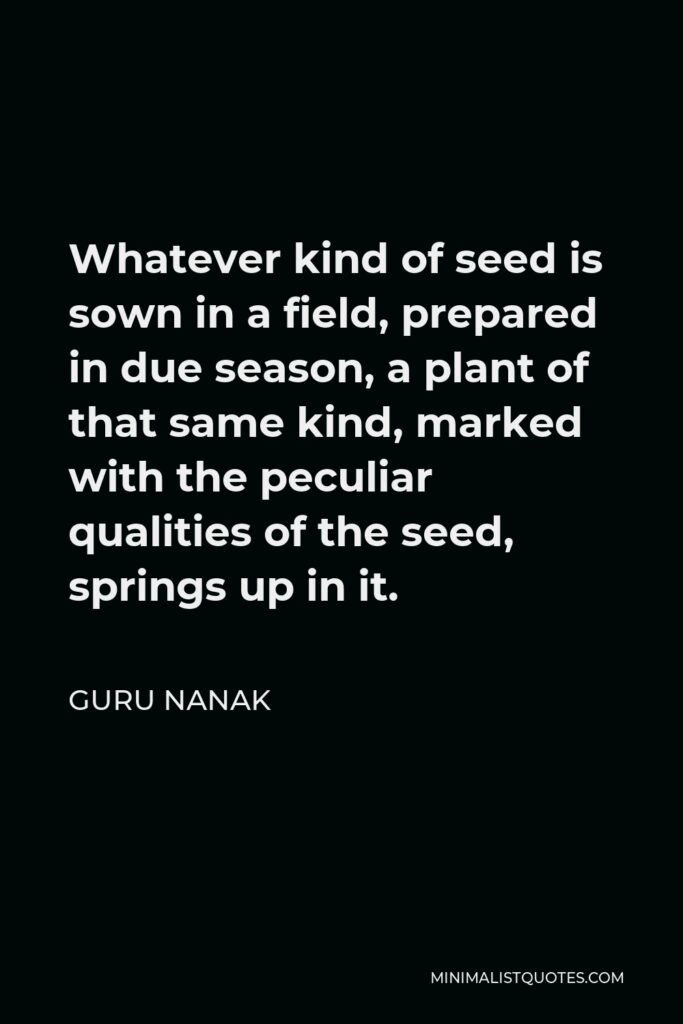 Guru Nanak Quote - Whatever kind of seed is sown in a field, prepared in due season, a plant of that same kind, marked with the peculiar qualities of the seed, springs up in it.
