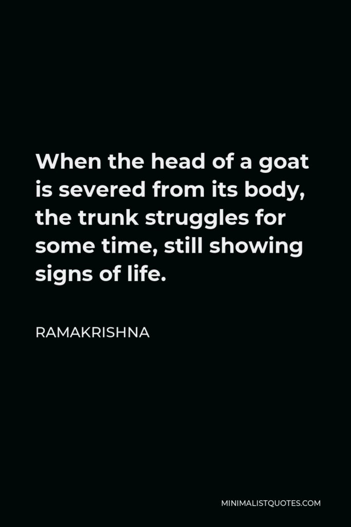 Ramakrishna Quote - When the head of a goat is severed from its body, the trunk struggles for some time, still showing signs of life.