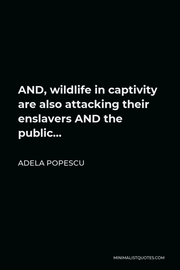 Adela Popescu Quote - AND, wildlife in captivity are also attacking their enslavers AND the public…