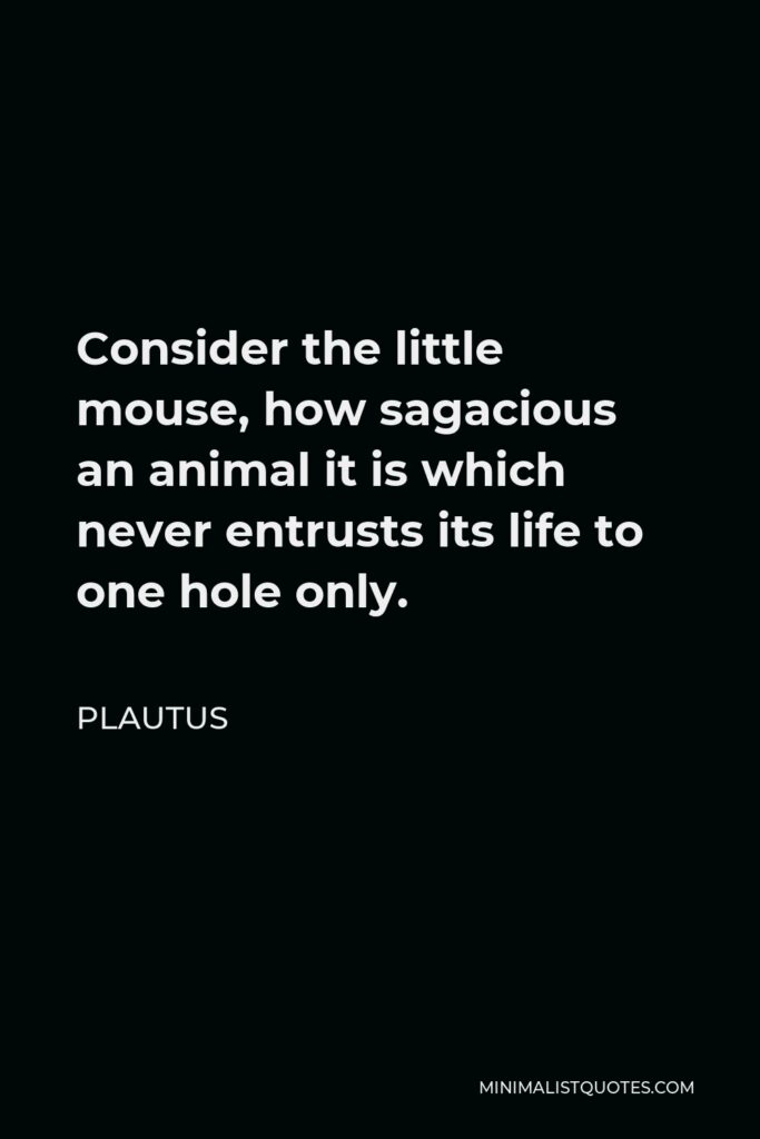 Plautus Quote - Consider the little mouse, how sagacious an animal it is which never entrusts its life to one hole only.