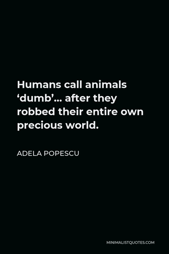 Adela Popescu Quote - Humans call animals ‘dumb’… after they robbed their entire own precious world.