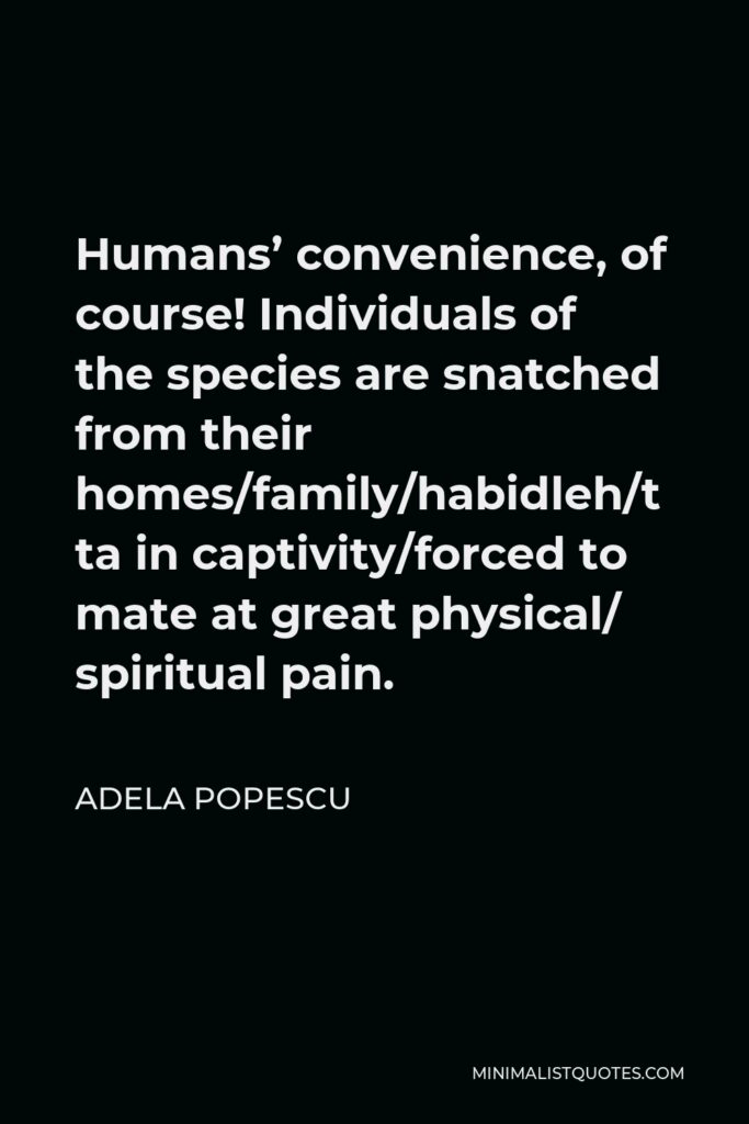Adela Popescu Quote - Humans’ convenience, of course! Individuals of the species are snatched from their homes/family/habitat/held in captivity/forced to mate at great physical/ spiritual pain.