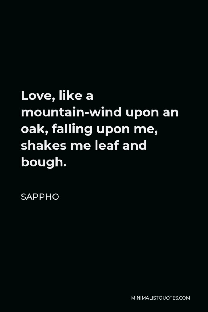 Sappho Quote - Love, like a mountain-wind upon an oak, falling upon me, shakes me leaf and bough.