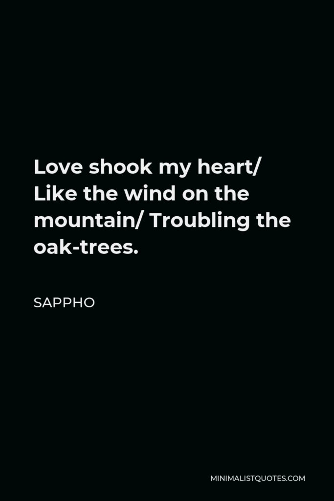Sappho Quote - Love shook my heart/ Like the wind on the mountain/ Troubling the oak-trees.