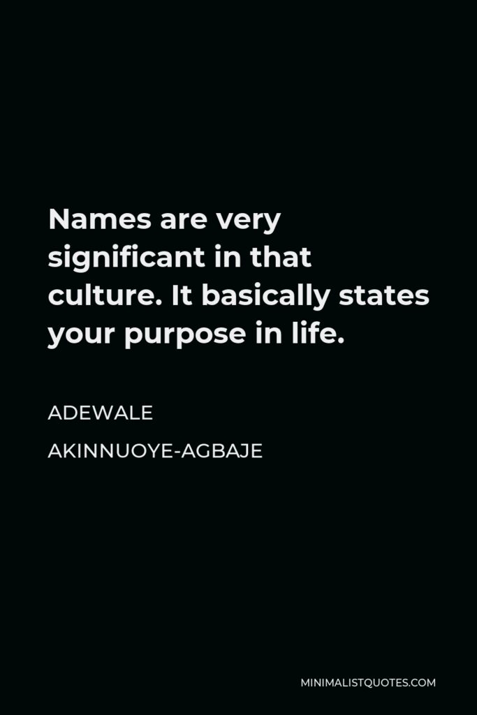 Adewale Akinnuoye-Agbaje Quote - Names are very significant in that culture. It basically states your purpose in life.