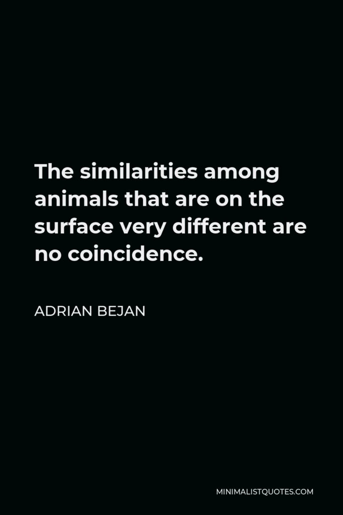 Adrian Bejan Quote - The similarities among animals that are on the surface very different are no coincidence.