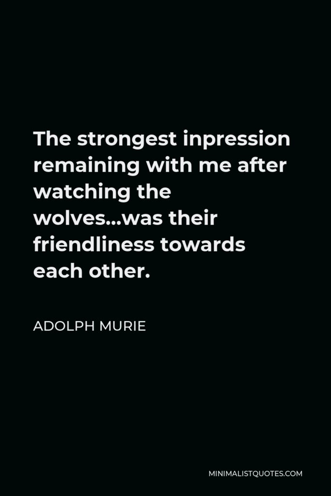 Adolph Murie Quote - The strongest inpression remaining with me after watching the wolves…was their friendliness towards each other.