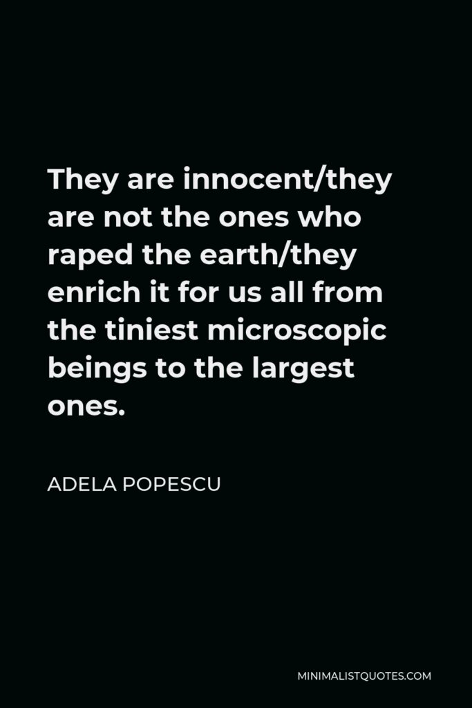 Adela Popescu Quote - They are innocent/they are not the ones who raped the earth/they enrich it for us all from the tiniest microscopic beings to the largest ones.