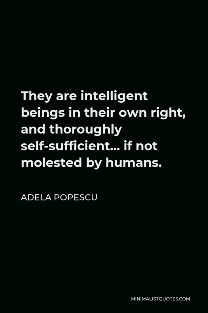 Adela Popescu Quote - They are intelligent beings in their own right, and thoroughly self-sufficient… if not molested by humans.