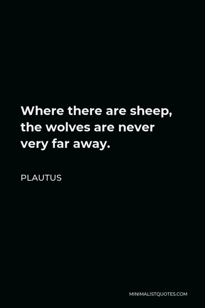 Plautus Quote - Where there are sheep, the wolves are never very far away.