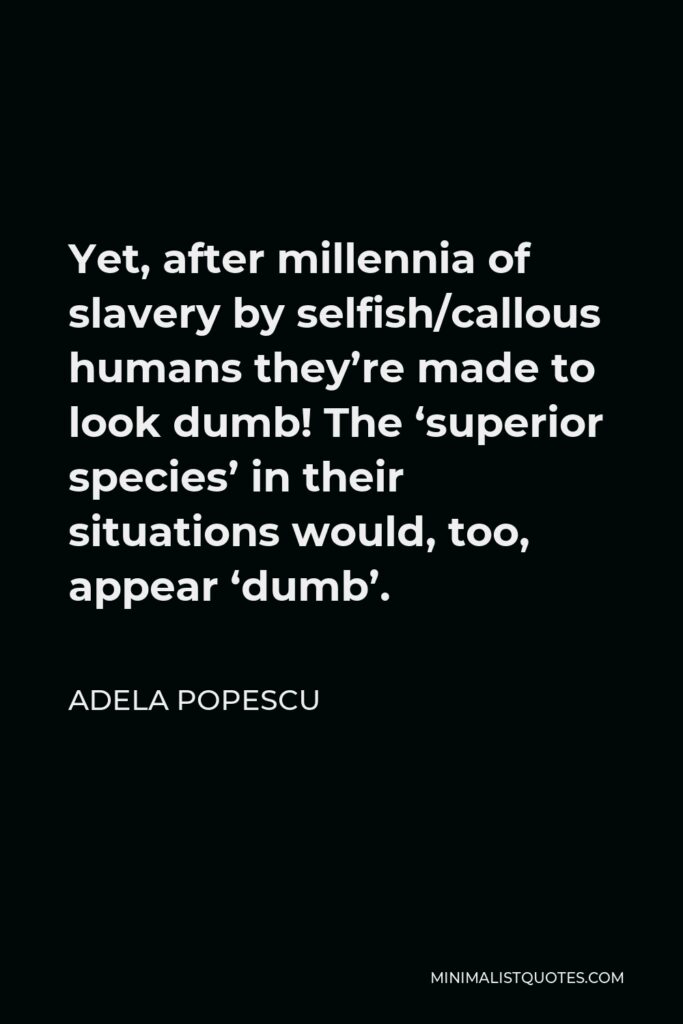 Adela Popescu Quote - Yet, after millennia of slavery by selfish/callous humans they’re made to look dumb! The ‘superior species’ in their situations would, too, appear ‘dumb’.