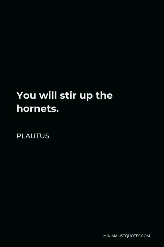 Plautus Quote - You will stir up the hornets.