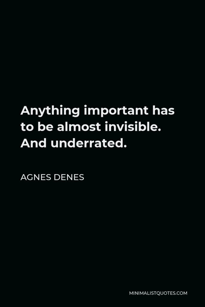 Agnes Denes Quote - Anything important has to be almost invisible. And underrated.