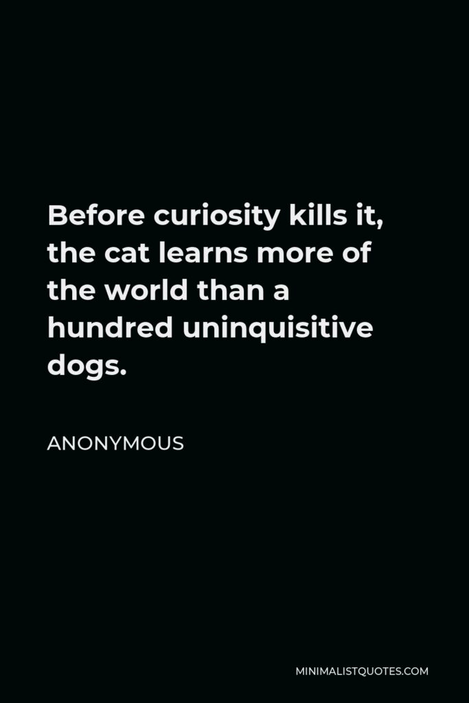 Anonymous Quote - Before curiosity kills it, the cat learns more of the world than a hundred uninquisitive dogs.