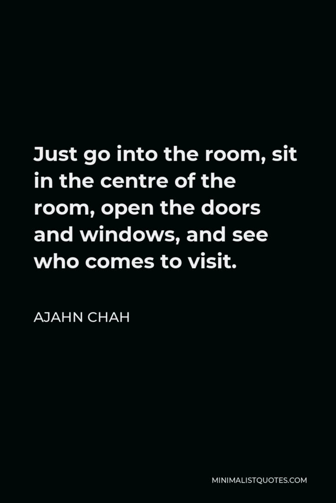 Ajahn Chah Quote - Just go into the room, sit in the centre of the room, open the doors and windows, and see who comes to visit.