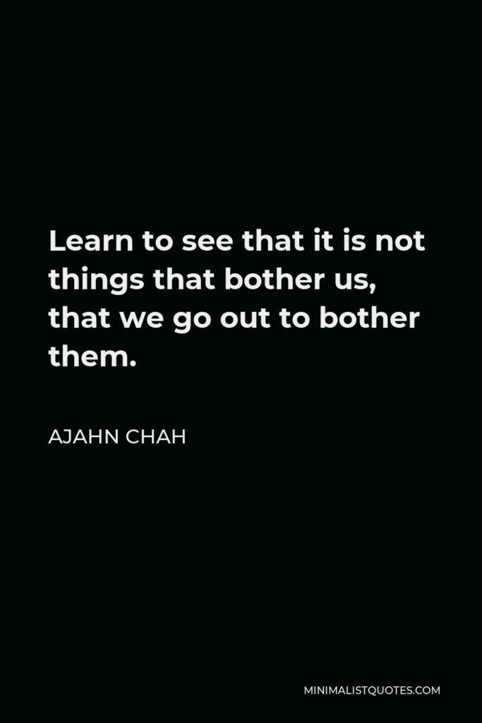 Ajahn Chah Quote - Learn to see that it is not things that bother us, that we go out to bother them.